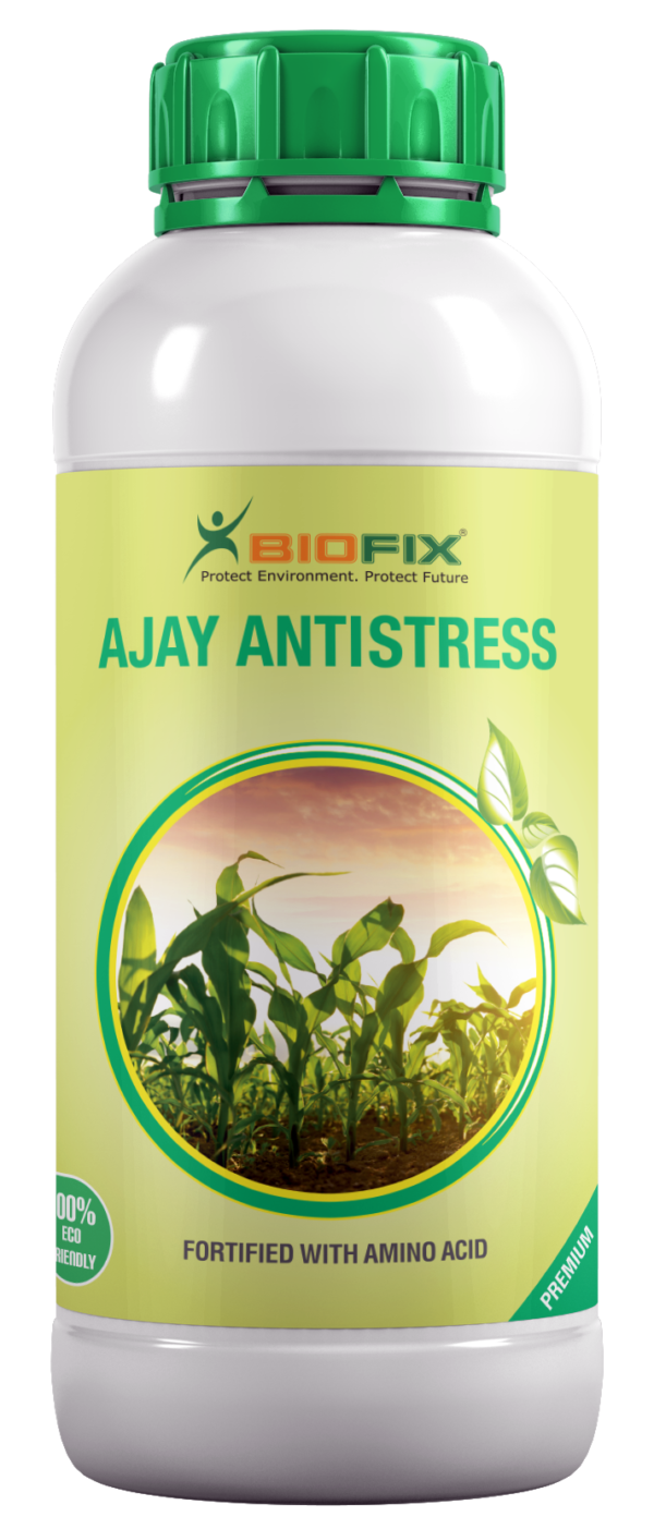 AJAY ANTI-STRESS