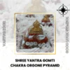 Shree Yantra Gomti Chakra Orgone Pyramid