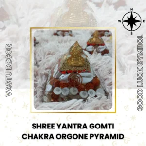 Shree Yantra Gomti Chakra Orgone Pyramid