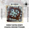 Shree Yantra Gomti Chakra Orgone Pyramid