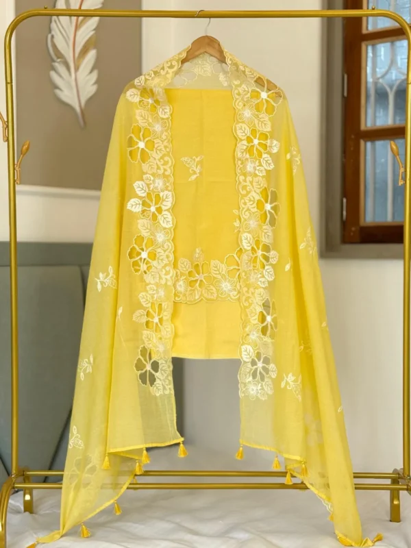 1502261140_Revolusisinstore (3) Exclusive Banarasi Collection