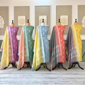 Exclusive Festive Season Banarasi Collection