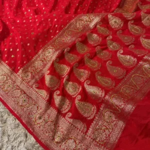 Premium Banarasi Soft Georgette Silk Saree With Stone Work Collection All Over Design