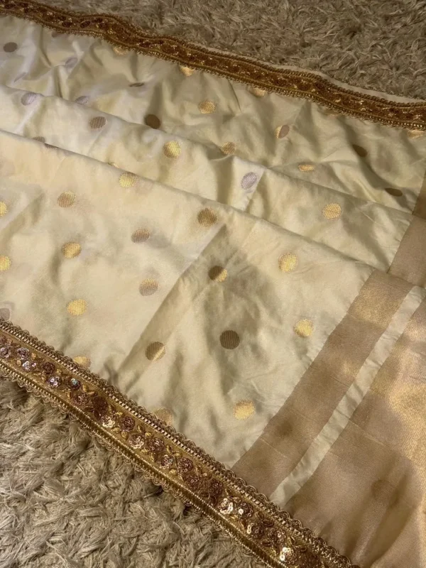 Premium Banarasi Soft Mango Silk Collection All Over Design