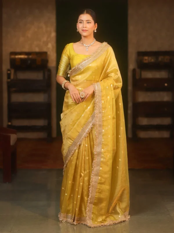Premium Banarasi Soft Tissue Silk Saree Collection All Over Design