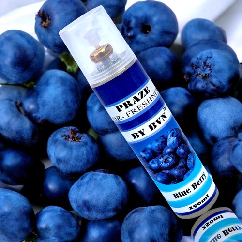 blue berry 3 Blue Berry Air room freshener perfume